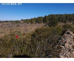 OCASION FINCA RUSTICA EN GINESTAR DE 2,8 HAS. CON MASIA Y POSIBILIDAD DE RIEGO