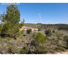 OCASION GRAN FINCA RUSTICA CON EDIFICACIONES A REFORMAR EN GANDESA