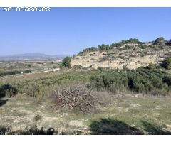 MAGNIFICA FINCA DE REGADIO EN GINESTAR AL LADO DE LA C-12