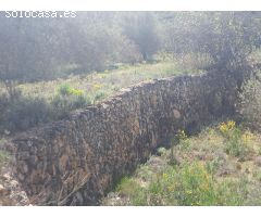 OCASION FINCA RUSTICA DE 10 HAS. CON MASIA DE DOS PLANTAS ACONDICIONADA EN VINEBRE