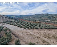 FINCA DE OLIVOS  Y ALMENDROS EN VEGAS DEL GENIL