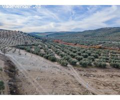 FINCA DE OLIVOS  Y ALMENDROS EN VEGAS DEL GENIL