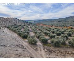 FINCA DE OLIVOS  Y ALMENDROS EN VEGAS DEL GENIL