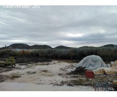 Chalet en Alquiler en Pliego, Murcia