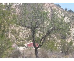 Chalet en Alquiler en Pliego, Murcia