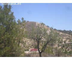 Chalet en Alquiler en Pliego, Murcia