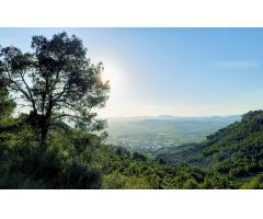 Espectacular chalet de lujo en Bullas con piscina por sólo 900 euros a la semana .
