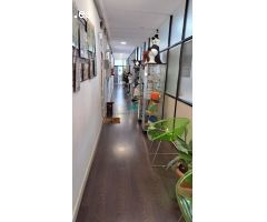 Local Comercial de alquiler en Goya,Madrid