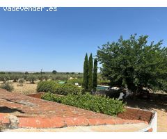 Finca en Puebla de Montalban