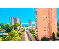 Piso en Alquiler en Orihuela Costa, Alicante