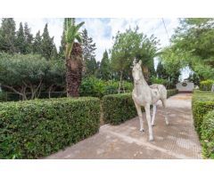 Local Comercial en Alquiler en Torrevieja, Alicante