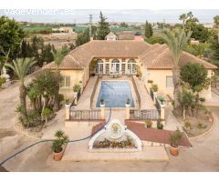 Local Comercial en Alquiler en Torrevieja, Alicante