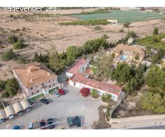 Local Comercial en Alquiler en Torrevieja, Alicante