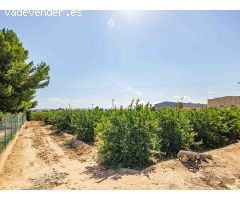 Casa en Venta en Montesinos (Los), Alicante