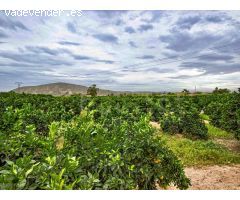 Casa de Campo en Venta en Orihuela, Alicante