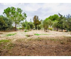 Casa de Campo en Venta en Orihuela, Alicante