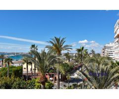 Apartamento en Alquiler en Torrevieja, Alicante