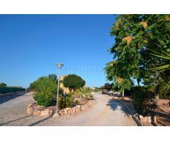 Villa en Alquiler en Elche/Elx, Alicante