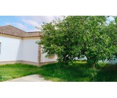 Se vende chalet independiente de una planta – 145 m² construidos en parcela de 500 m²