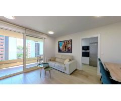 Alquiler de Apartamento en Ripagaina