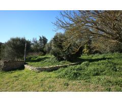 Se vende vivienda o restaurante en funcionamiento en Sant Joan