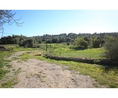 Se vende vivienda o restaurante en funcionamiento en Sant Joan