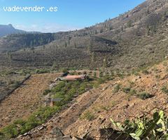Vida autosuficiente en una gran finca con casa en el valle de los albaricoques