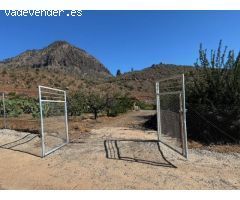Vida autosuficiente en una gran finca con casa en el valle de los albaricoques