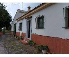 Finca en Los montes de Malaga