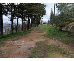 Finca en Los montes de Malaga