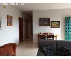Finca en Los montes de Malaga