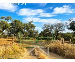 ESPECTACULAR FINCA RÚSTICA. - Un paraíso natural a tu alcance.