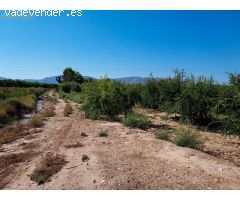 Casa de campo en Venta en Crevillente, Alicante