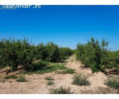 Casa de campo en Venta en Crevillente, Alicante