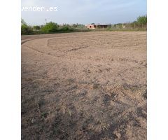 SE VENDE PARCELA RÚSTICA EN ALGUAZAS