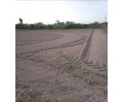 SE VENDE PARCELA RÚSTICA EN ALGUAZAS