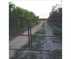 SE VENDE PARCELA RÚSTICA EN ALGUAZAS