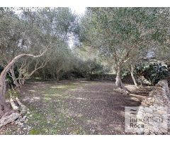 OL37 -  Bonita Casa de Campo con licencia turística en Llucmasanes