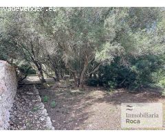 OL37 -  Bonita Casa de Campo con licencia turística en Llucmasanes
