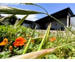 SUELO URBANO CON NAVE INDUSTRIAL EN LA LAGUNA