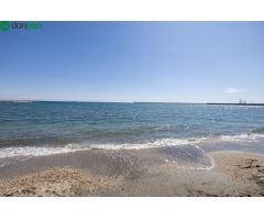Finca de recreo con invernadero junto a la playa