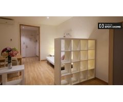 Amplio apartamento de 2 dormitorios en alquiler en Barri Gòtic