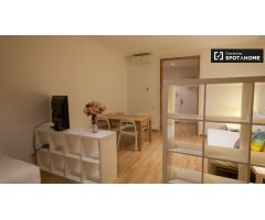 Amplio apartamento de 2 dormitorios en alquiler en Barri Gòtic