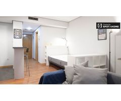 Fantástico apartamento de 1 dormitorio en alquiler cerca de la Universidad Pontificia Comillas en Ma