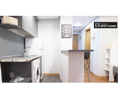 Fantástico apartamento de 1 dormitorio en alquiler cerca de la Universidad Pontificia Comillas en Ma
