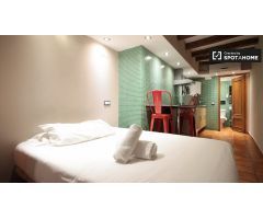 Estudio aislado en alquiler cerca del palacio Güell en El Raval