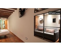 Estudio aislado en alquiler cerca del palacio Güell en El Raval