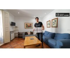 Amplio apartamento de 2 dormitorios en alquiler en Centro