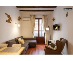 Elegante apartamento de 1 dormitorio con balcón y aire acondicionado en alquiler cerca del metro en 
