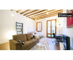 Estupendo apartamento estudio en alquiler cerca del Museo de la Xocolata en El Born